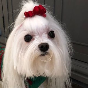 OK New NEWS FROM ME,.. Seri ❤️☮️